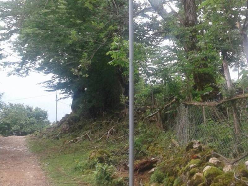 ,,სოფლის მხარდამჭერი პროგრამით’’ გარე განათების მოწყობის სამუშაოები მიმდინარეობს